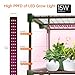 Bstrip Indoor Greenhouse with Grow Lights, 4 Tier 27.2