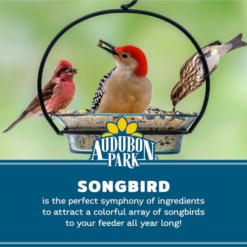 Image of Audubon Park Songbird Wild Bird Seed, 10 lb. | Year-round outdoor bird food for outside feeders