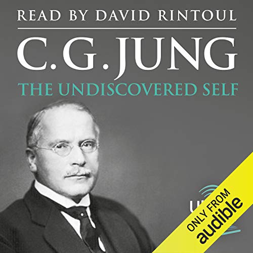 Best Jung For Dummies 2024 Where to Buy?