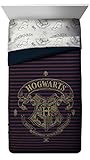 Jay Franco Spellbound Twin/Full Comforter (Offical Harry Potter Product), Multi