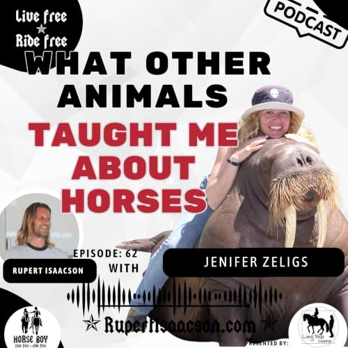 What Sea Lions Taught Me About Training Horses with Jenifer Zeligs | Live Free Ride Free