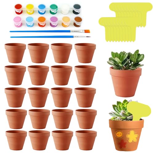 RNPKZ 20 macetas de barro pequeñas, 5 x 5,5 cm, pequeñas macetas de terracota con pinturas y pinceles, mini ollas de barro de terracota con orificio de drenaje para manualidades para hogar y oficina
