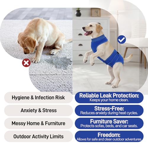 Image of BRKURLEG Female Dog Diapers with Suspender, Washable & Reusable, Blue M