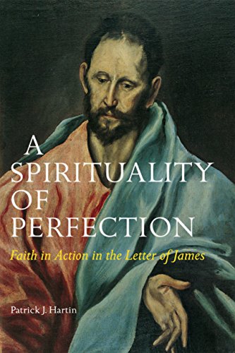 A Spirituality of Perfection: Faith in Action in the Letter of James (Michael Glazier Books)