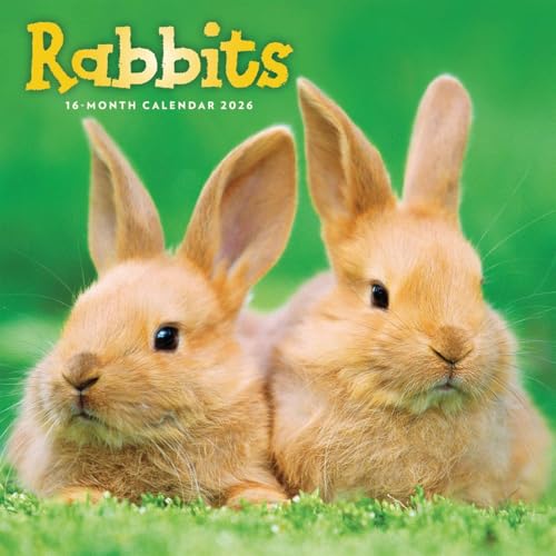 Rabbits Calendar 2026