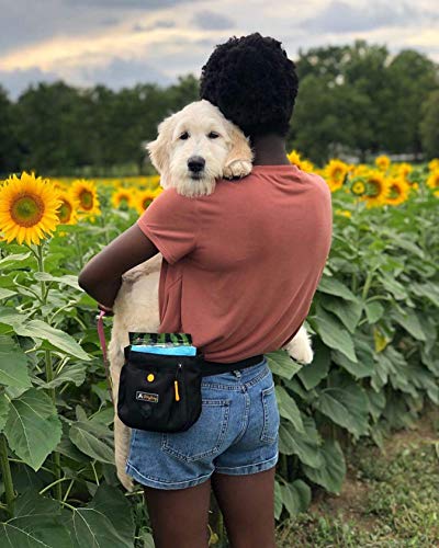 OllyDog Bolsa Backcountry Day, pochete para cães, mãos livres para treinamento, mochila de quadril c
