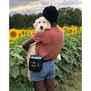 OllyDog-Backcountry-Day-Bag-Fanny-Pack-Dog-Treat-Pouch-Hands-Free-for-Training-Hip-Pack-with-Built-in-Poop-Bag-Dispenser-Removable-Waist-Belt-Clip-Raven - Cucciolini Doodles   OllyDog-Backcountry-Day-Bag-Fanny-Pack-Dog-Treat-Pouch-Hands-Free-for-Training-Hip-Pack-with-Built-in-Poop-Bag-Dispenser-Removable-Waist-Belt-Clip-Raven