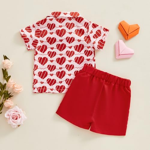 Image of Toddler Boy Summer Outfits Button Down Short Sleeve Floral Shirts & Casual Shorts 1-6 Years Boys Clothes Set