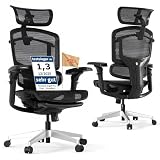 FLEXISPOT ErgoX Pro Silla de Oficina Ergonómica, Negro