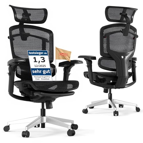 FLEXISPOT ErgoX Pro Silla de Oficina Ergonómica, Negro