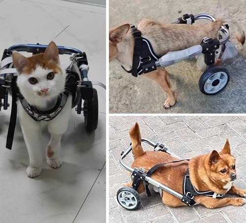 Chariot de rééducation confortable chat réglable aide à la mobilité