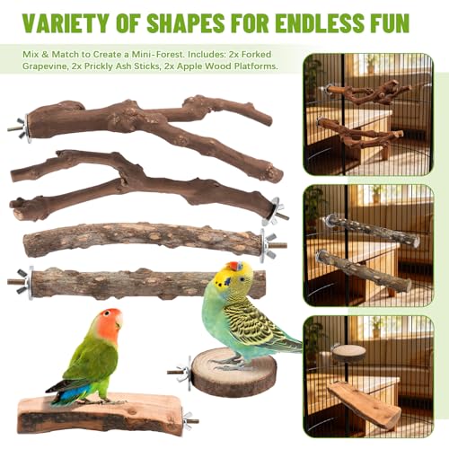 Image of 6 Pcs Natural Wood Bird Perch & Platform Set for Cage