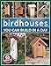 Birdhouses You Can Build in a Day (Popular Woodworking)