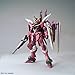 Bandai Hobby Justice Gundam Seed, Bandai MG Hobby Figure