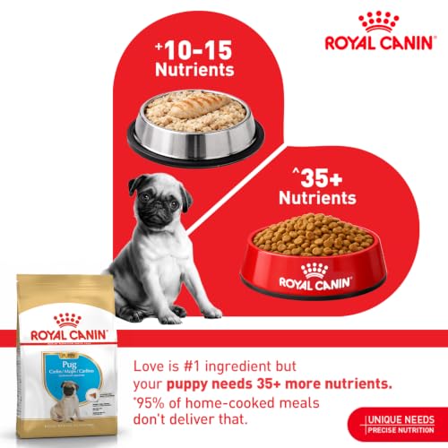 Image of Royal Canin Pug Puppy Food, 1.5 Kg, Dry Food, Supports Healthy Immune System & Digestive Health, Promotes Healthy Skin