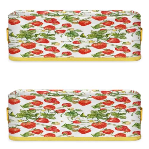 Luscious Strawberry Pattern Bathroom Storage Basket Waterproof Foldable Storage Bins with Handles Decorative Toilet Paper Storage Basket for Organizing for House Bathroom Toiletries Set of 2