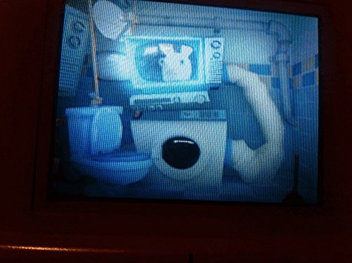 RAYMAN PRODUCTIONS PRESENTE: THE LAPINS CRETINS SH - vue 6