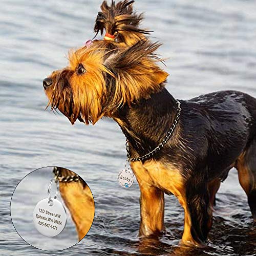 Didog Stainless Steel Custom Engraved Pet Id Tags,Round Crystal Rhinestones Tags With Pretty Paw Print,Double-Side Laser Engraving Tags Fit Small Medium Large Dogs And Kittens,Blue #TOP5