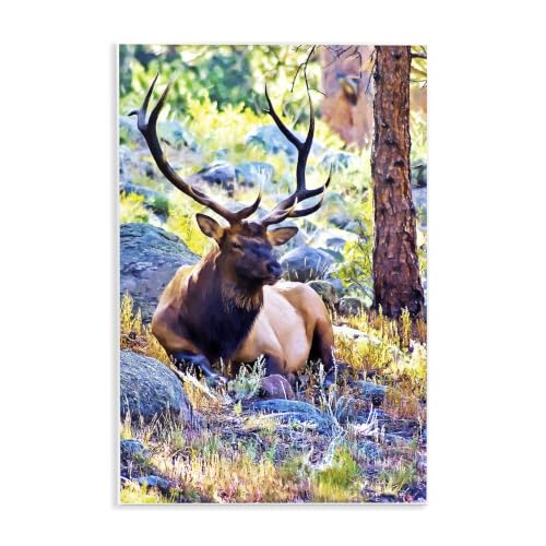 'Stag Deer Resting Amid Forest Trees Natural'| Wall Plaque Art