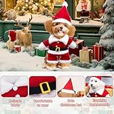 Hundekostüme Weihnachten, Haustier Weihnachtskostüm, Katze Hund Weihnachtskostüm mit Mütze Weihnachtsmann, für Welpen Kätzchen kleine Hunde Haustiere, Katze Hund Cosplay (M)