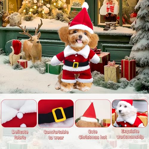 Hundekostüme Weihnachten, Haustier Weihnachtskostüm, Katze Hund Weihnachtskostüm mit Mütze Weihnachtsmann, für Welpen Kätzchen kleine Hunde Haustiere, Katze Hund Cosplay (M)