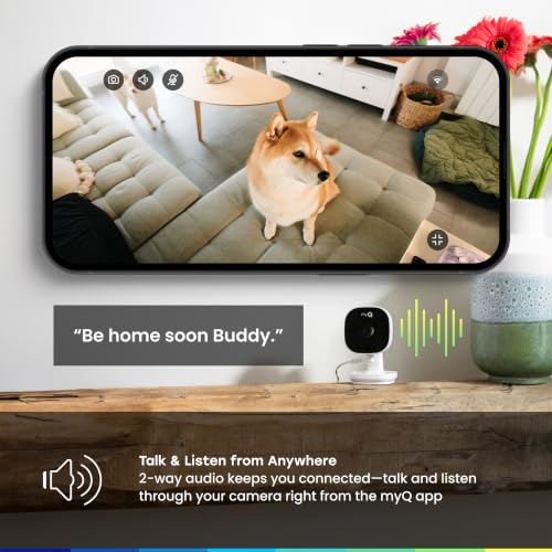 Image of myQ Indoor Plug-in Security Camera Gen 2 - 2K Smart Wi-Fi Camera with Night Vision, Baby and Pet Monitor, Motion Detection and Alerts, 2-Way Audio & App Control