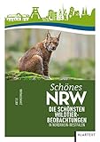 Schönes NRW: Die schönsten Wildtierbeobachtungen in Nordrhein-Westfalen