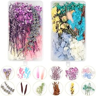 Dreamtop 2 Boxes Natural Dried Flowers Real Mixed Dried Flowers Leaves DIY Multiple Colorful Dried Flowers for Scrapbooking DIY Candle Resin Jewelry Crafts