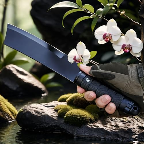Image of Wizbiz Kitchen Knife /Utility Knives for Kitchen Home - Kitchen Cutting Tool