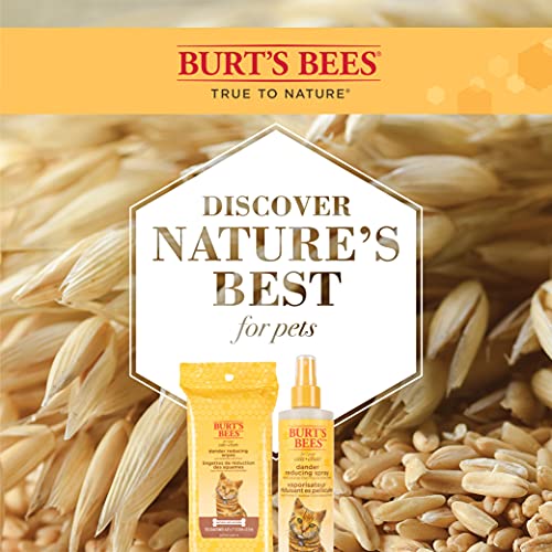 Burt's Bees for Cats Grooming Wipes and Dander Reducing Spray Cat