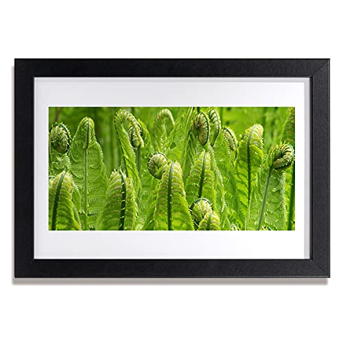 Affiche avec cadre 30x20 cm Tulup en MDF et impression haute finition
