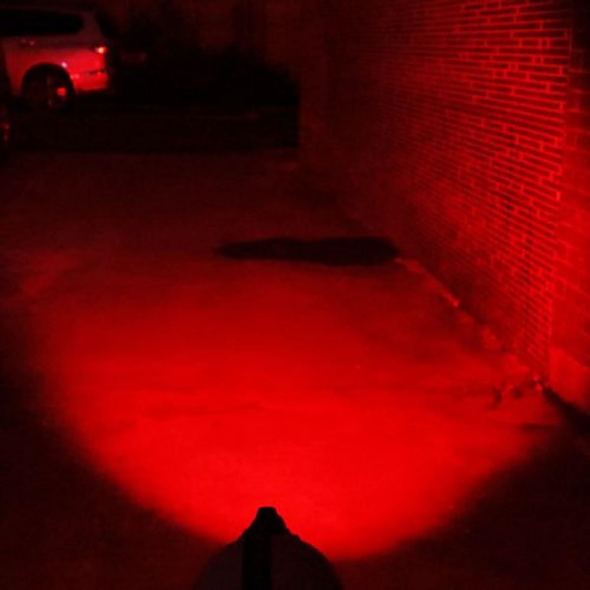Paquete de 4 linternas LED rojas y azules, luz negra de alto lúmenes, luz roja, luz LED multifunción, para camping, visión nocturna, pesca, detector