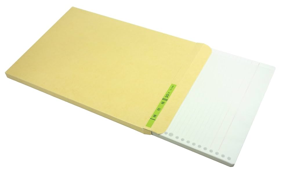 Amazon.co.jp: コクヨ(KOKUYO) 三色刷ルーズリーフ A4 補助帳 30