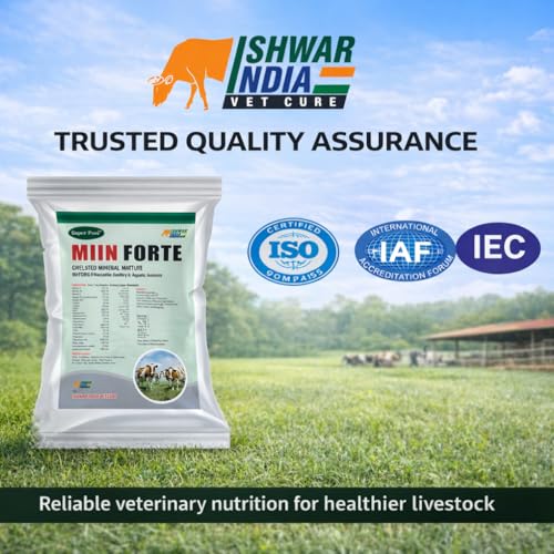 Image of MIIN Forte Pouch Pack | Mineral Mixture Powder for Cattle, Buffaloes, Goats & Sheep | Boosts Milk Yield, Growth, Immunity Booster | Powerful Chelated Minerals Mixture (1Kg)