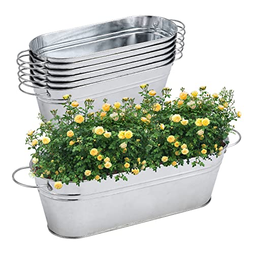 BestAlice Confezione da 6 fioriere zincate per piante da esterno, fioriere ovali zincate con maniglie, vaso da fiori in metallo per interni ed esterni