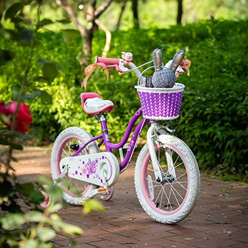 Royalbaby Stargirl Kids Girls Bike Bicycle With Basket Training Wheels Kickstand 16 Inch Purple #TOP2