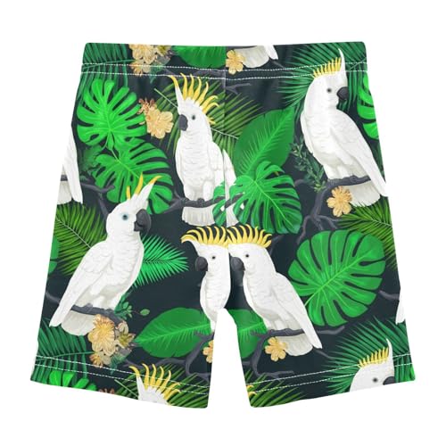 Birds Flower Dark Girls Bike Shorts Toddler Girl Clothes Under Dress Dance Shorts for Dresses,4T2