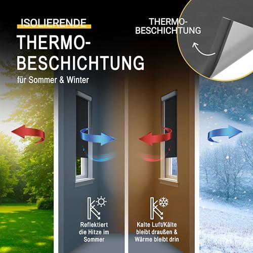 Sol Royal Kassettenrollo mit Führungsschiene SolReflect K24 60x175 cm Anthrazit - Blackout Thermorollo seitliche Führungsschienen - Befestigung ohne Bohren - Verdunkelungsrollo 60cm breit