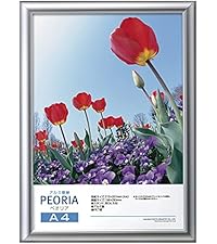 Amazon.co.jp: ハクバ デジタルアルミフレーム ペオリア A3ノビ