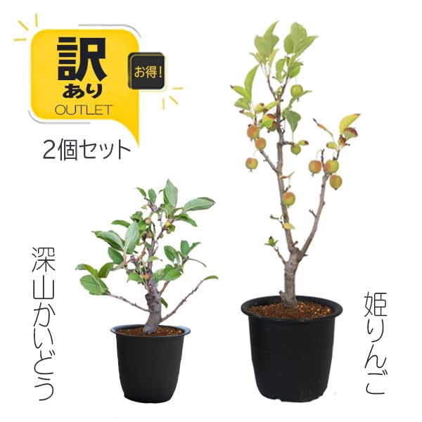 Amazon.co.jp: 【元気な訳あり】受粉樹ペア苗セット：姫りんご＆深山