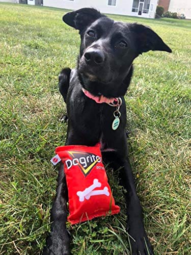 SPOT Fun Candy Quietschspielzeug Für Hunde – Knisternd & Lustig