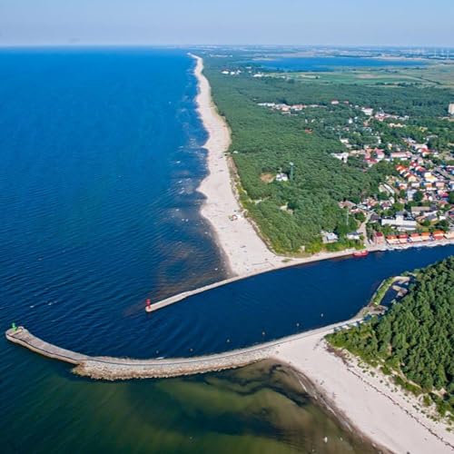 Bałtycki morski niedźwiedź