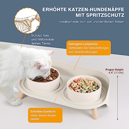 Katzen Napfset Katzennapf Erhöht Keramik - Doppelt Katzennäpfe mit Rutschfestem Ständer und Spritzschutz - Fressnapf Katze Napf - Futternapf Wassernapf Set für Welpen Kleine Hunde - 2 x 480 ML