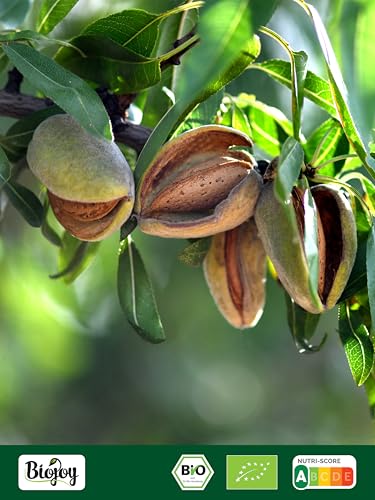 Biojoy BIO-Mandelmehl (1 kg), teilentölt, ideal für Macarons, gemahlene Mandeln