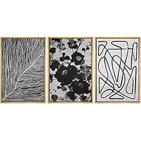 SIGNWIN Framed Canvas Print Wall Art Trio of...