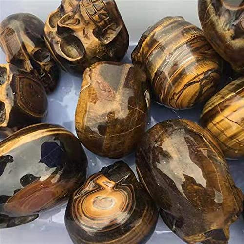 RaeGan 1pc Gemstone Skulls Hand Carved Tiger Eye Skulls for Home Decoration 250-330g