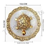 Pinnacle Golden Tortoise with Glass Plate - Turtle Showpiece for good luck - Kachua for Home, Office, Living room Hotel - Gift for Girlfriend Her Him Mom Dad - Image 4