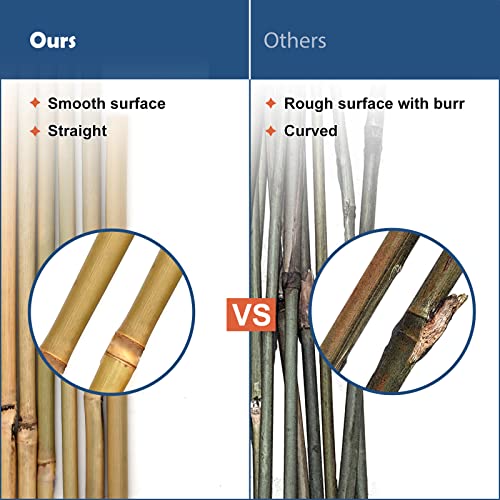 Image of COLOtime Bamboo Stakes 4FT Garden Stakes Plant Stakes for Indoor and Outdoor Climbing Plants Poles Sticks Support Tomatoes Eggplants Beans 25 Pack