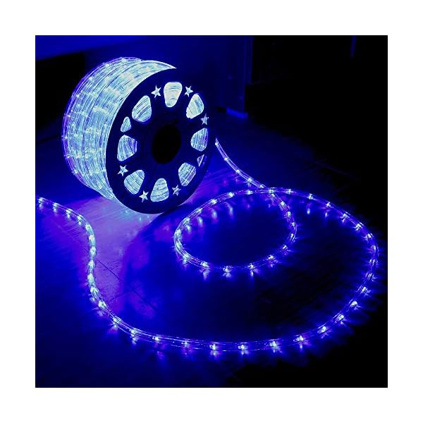 Huizhen indoor outdoor rope lights,110v 100ft flexible led rope light kit for party,wedding,background,trees,pool,eaves decoration with ul certified