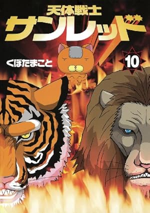 サンレッド出品 71XSzbIaDfL._AC_UF350,